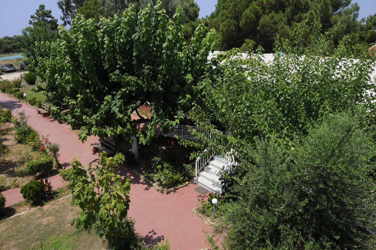 Apartments Hotel Alexandros Arkoudi Dış mekan fotoğraf